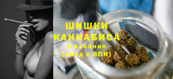 стафф Богородицк