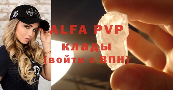 стафф Богородицк