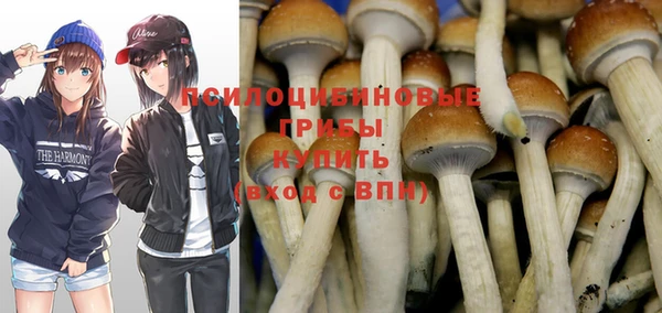 стафф Богородицк