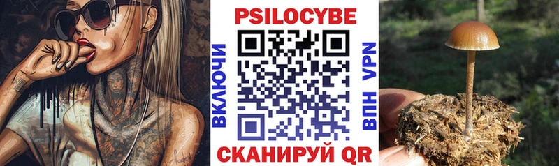 Галлюциногенные грибы GOLDEN TEACHER  купить наркоту  блэк спрут зеркало  Новозыбков 